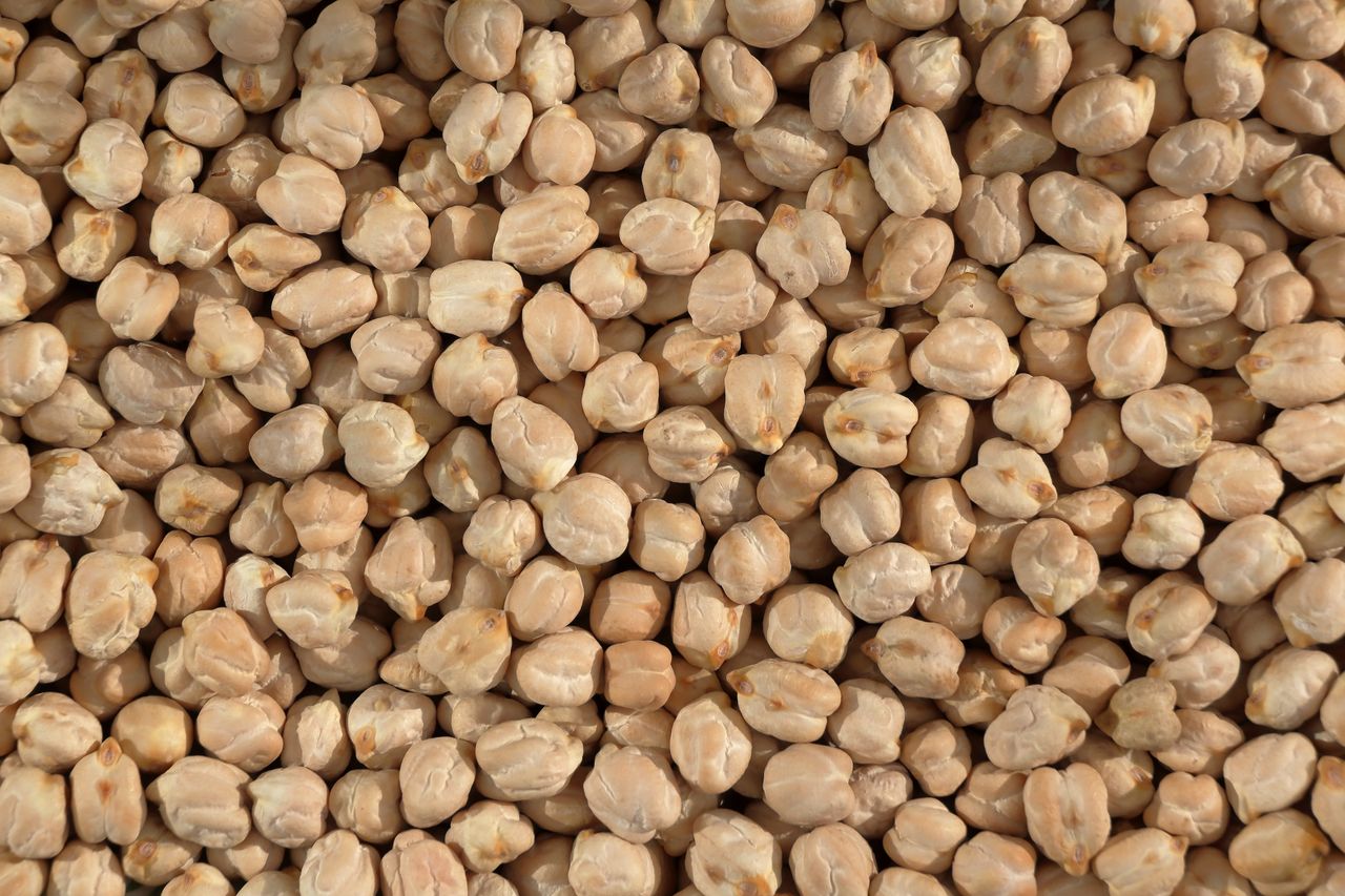 A high-resolution image showing a textured surface of dry chickpeas with natural lighting.